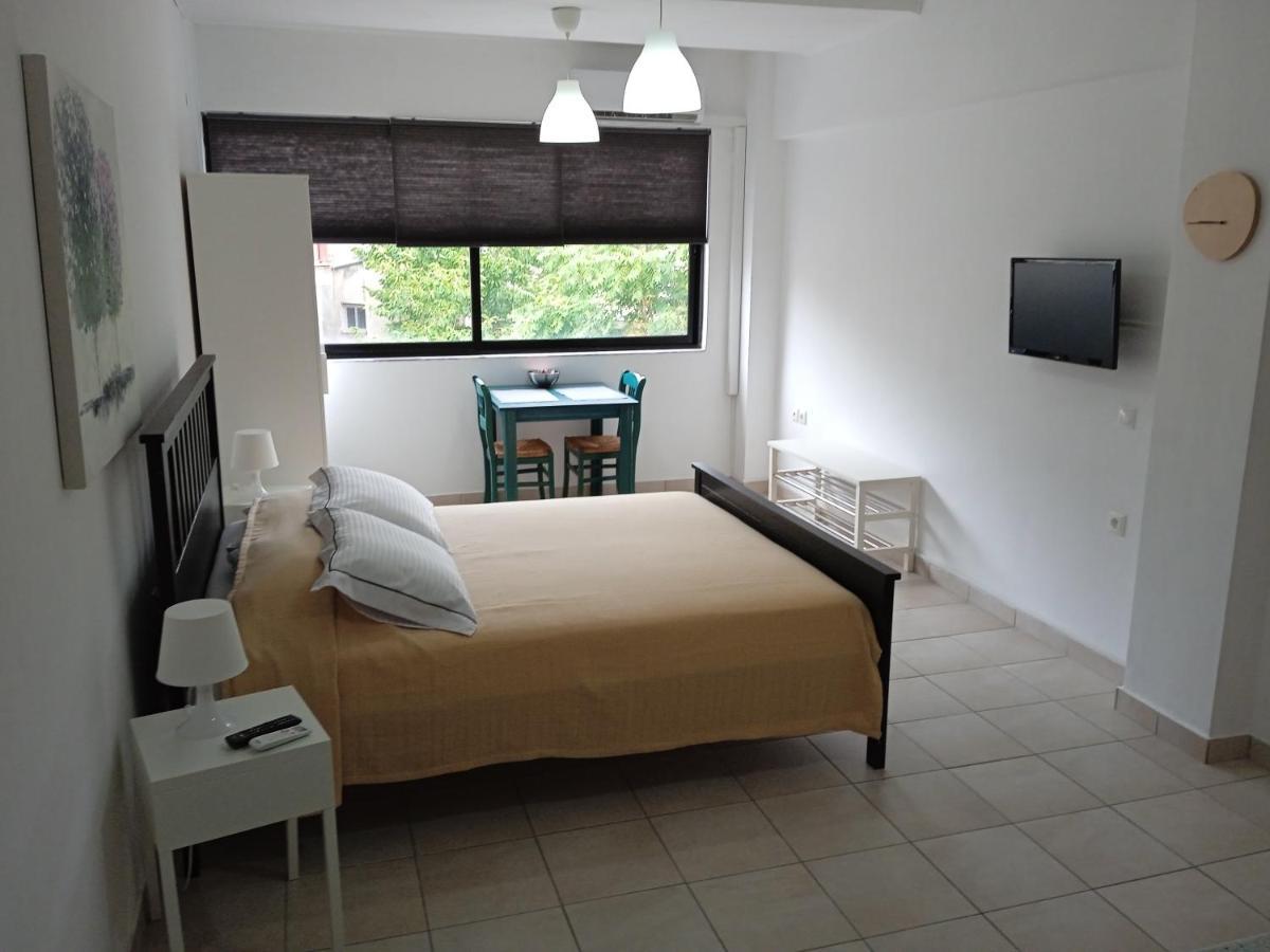 Apartament Dimitris Studio Janina Zewnętrze zdjęcie